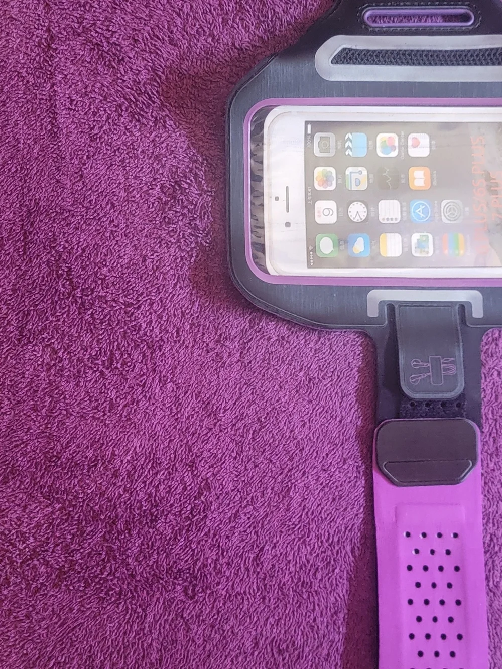 Purple Sports Armband Phone Holder — Universal Fit